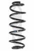 SPIDAN 86602 Coil Spring